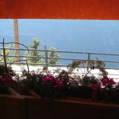 Appartement Delphihouse *